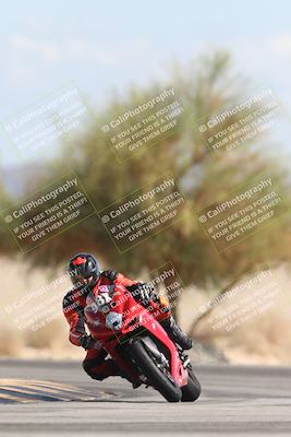 media/Oct-13-2025-Moto Forza (Mon) [[a66d839500]]/3-B Group/Session 4 Turn 4 Tree of Life/